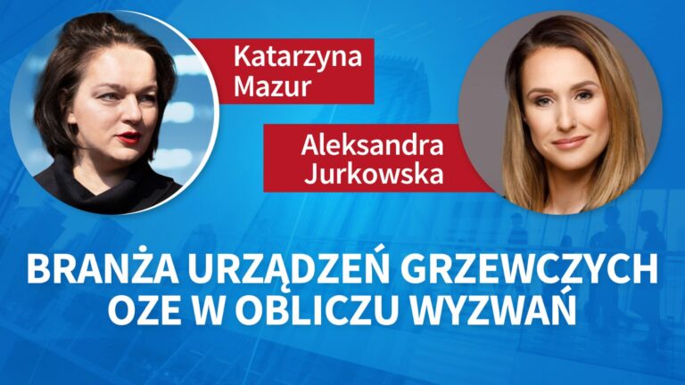Branża urządzeń grzewczych OZE w obliczu wyzwań. Aleksandra Jurkowska, Katarzyna Mazur