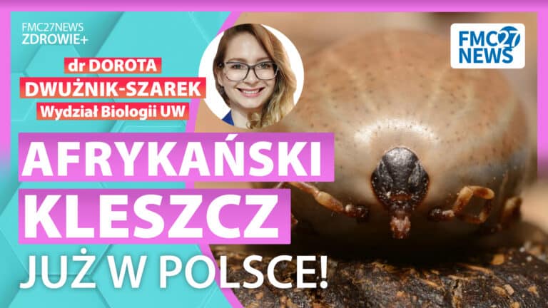 KLESZCZE AFRYKAŃSKIE W POLSCE | FMC ZDROWIE +