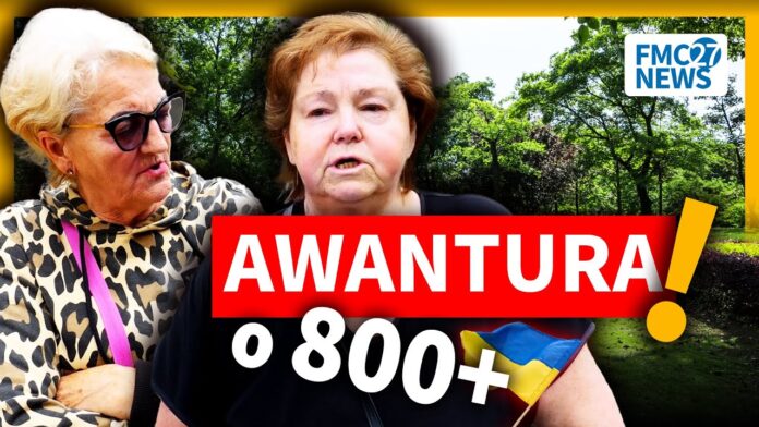 800+ DLA UKRAIŃCÓW? O to kłócą się Polacy! | Sonda uliczna