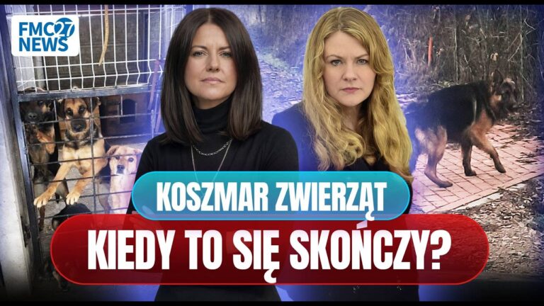 Państwo chroni oprawców? Kulisy schronisk wyszły na jaw